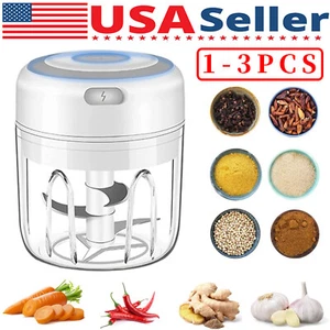 Electric 250ML Garlic Press Chopper Chili Onion Fruits Meat Mincer Blender Mixer - Picture 1 of 19