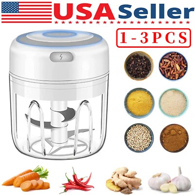 Prensa de ajo eléctrica 250 ml picadora chile cebolla frutas carne picadora licuadora mezcladora Foto 1 de 4