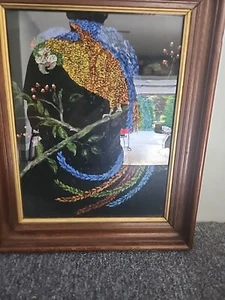 Samt viktorianischer Papagei auf Samt Nussbaum Rahmen 16"x13" - Bild 1 von 17