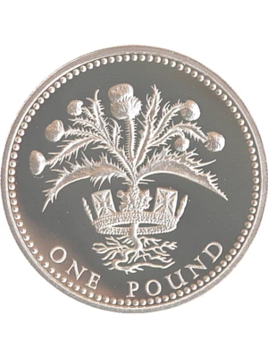 1984 Scotish Thistle Silver Proof Pound Coin - Image 1 of 2
