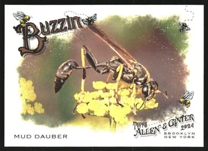 B6014- 2024 Topps Allen And Ginter BB Versch. Insert2 -du Pick- 15 + Kostenlose - Bild 1 von 245