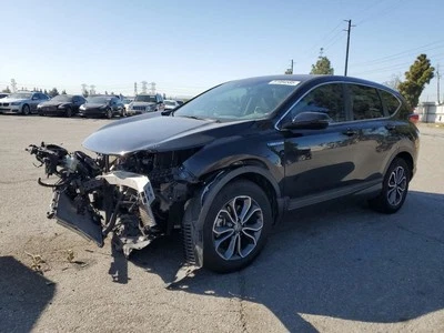 BLK LEFT REAR HEADREST 2020 HONDA CR-V - Image 1 of 4