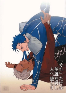 Fate/stay night Doujinshi Comic Book Lancer x Archer Emiya All It Takes for a - Picture 1 of 4