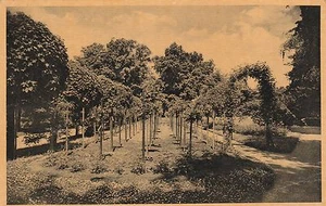 Postcards Czechoslovakia PRAHA- PARTIE VE STROMOVACE-  ,1934  - Picture 1 of 2