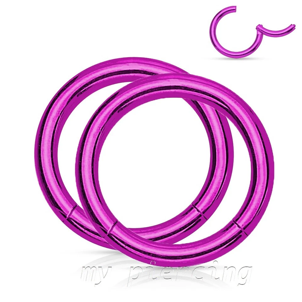 2 piezas. Pendiente anillo segmento sin costuras con bisagras cartílago labret tabique 20G a 8G Foto 1 de 4