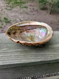 MCM Abalone Shell Bowl Lucite Footed Large- VINTAGE - Picture 1 of 11