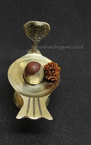 NARMADA LINGAM SHIVA MIT STÄNDER & 5 MUKHI RUDRAKSHA HEILIG HEILIG VERHEISSUNGSVOLL INDIEN - Bild 1 von 1