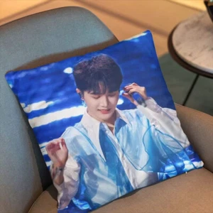 Zhou Shen Bedroom Cushion 40*40cm Pillow - Picture 1 of 1