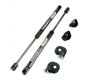 Performance HOOD STRUT KIT W/ ENGRAVED LOGO (FOR Ford MUSTANG GT/ECOBOOST 15+) - Picture 1 of 1