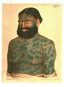 Cabinet de curiosité planche affiche A3 portrait d'homme tatoué tatouage - Foto 1 di 1