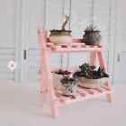 Collapsible Wooden Double Layer Shelf No Assembly Required Shelf Flower Pot