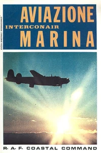 INTERCONAIR 29 USAF CAMOUFLAGE VIETNAM / WW2 REGIA AERONAUTICA / RAF COASTAL COM - Picture 1 of 5