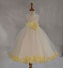FLOWER GIRL DRESS ROSE PETALS COMMUNION PAGEANT BRIDAL BRIDESMAID FORMAL PARTY