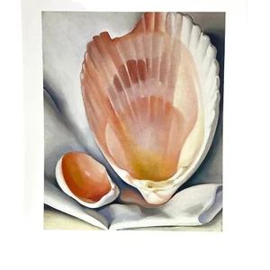 Georgia OKeefe Two Pink Shells Premium quality print ready to frame 14" X 11" - Picture 1 of 3