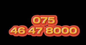 VIP Gold Mobile Number Easy Memorable SIM Platinum Diamond Business O2 - Zdjęcie 1 z 1