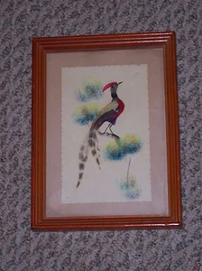 Beautiful Vintage Feathered Bird Picture - Picture 1 of 5