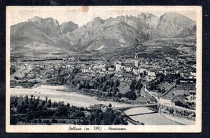 AK Belluno Panorama (SN1) - Bild 1 von 2