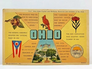 Vintage Postcard OHIO A-33 Flag Cardinal Buckeye Carnation Seal Capitol McKinley - Picture 1 of 3