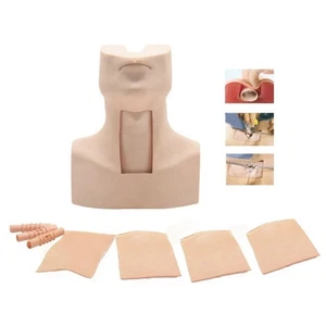 KAS/S36 Advanced Infant Arterial Injection Model with skin tracheas. - Picture 1 of 15