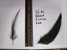 DIB 25 pièces plumes de héron AAA - plumes 6 - 7 pouces de long noir.