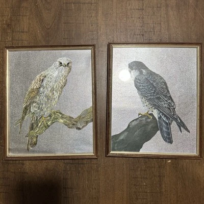 2 Vtg Foil Art Pictures Sparrowhawk & Peregrine Falcon Framed 9”x11” in VGC - Image 1 of 4