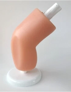 Entrenador de simulación de artroscopia modelo articulación de rodilla perfecto para simulación médica - Imagen 1 de 3