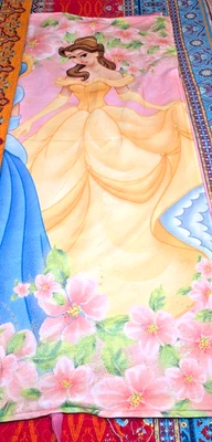 Saco de dormir Disney Princess forrado leve 24" x 60" Belle Cinderella Aurora - Imagem 1 de 4