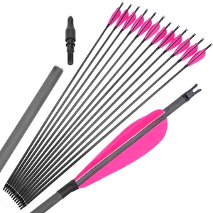 30" Pure Carbon Arrow Feather Spine 600 Archery Compound Bow Recurve Bow Hunting - Picture 1 of 19