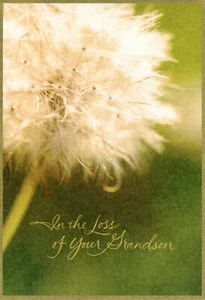 Nice SYMPATHY LOSS OF GRANDSON Card, Dandelion Blessings of Peace by Hallmark +✉ - Picture 1 of 5