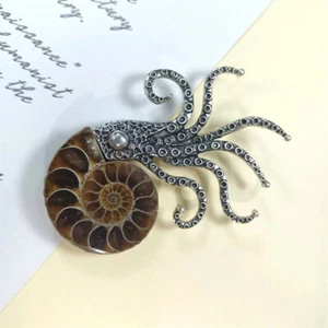 Natural Fossil Sliced Conch Unusual Octopus Shell Brooch. Looks like an amorite
