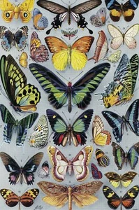 Wooden Jigsaw Puzzles For Adults - Vintage Butterflies (77 Pieces) Mini Puzzle - Picture 1 of 5