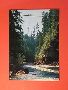 Photo Postcard - Capilano Suspension Bridge / Vancouver, B.C. Unposted. - Picture 1 of 5
