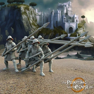 Vale Pikemen - Imagen 1 de 4
