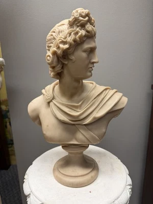 Винтажный алебастровый бюст Аполлона 13,5 дюйма — статуя греческого бога — подписанная - Изображение 1 из 4