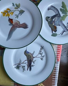 Set of 3 pc HUMMINGBIRD National Wildlife Federation Bird Dinner Plates Set 11” - Picture 1 of 8
