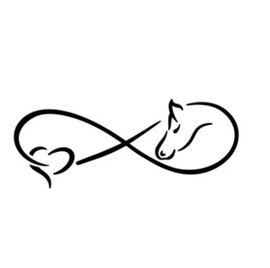 Adesivo auto infinito amore per cavallo sticker 20 x 8 cm - tanti colori - Foto 1 di 2