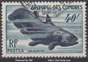 ARCHIPEL DES COMORES : 1954 - POISSON COELACANTHE N° 12 OBLITERATION LEGERE - Imagen 1 de 2