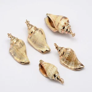 10 Pcs Golden Electroplated Conch Shell Pendants Mixed Color 26~52x13~23x15~17mm - Picture 1 of 3
