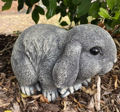 Mini Lop Rabbit Statue Ornament Farm Animal Concrete Garden Australian Made - image 1 of 4