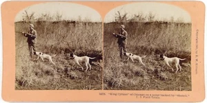 Usa.Etats-Unis.Chicago.Dog.Huting.Chasse.Chiens.King Cyrano.Photo Stereo Kilburn - Picture 1 of 2