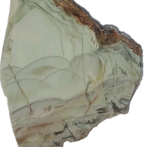 WILLOW CREEK SLAB ~ 55 grams / rough agate jasper mineral rock cab Idaho - Picture 1 of 14