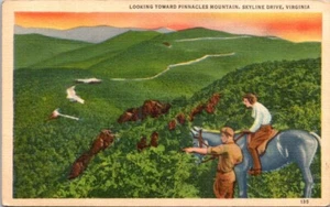 Vintage Postcard Looking Toward Pinnacle Mountain Skyline Drive VA Horse Sunset - Picture 1 of 2