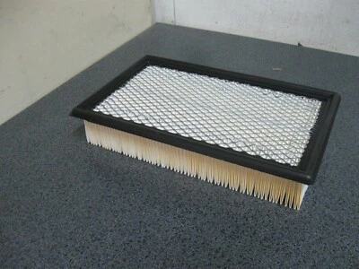 Luber-Finer AF1695 Air Filter Replaces FORD 1L2Z-9601-AA Fram TGA9332 WIX 42484 Foto 1 de 2