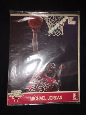 91N1 в заводской упаковке Michael Jordan обручи глянцевое действие фото 8 x 10 со вставкой - Изображение 1 из 4