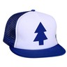 Dipper Gravity Falls Flat Hat - Aqua Pine Embroidered Unisex Cap, Adjustable Fit