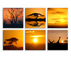6 teiliges Leinwandbild je 30x30cm -  Akazienbaum Afrika Sonnenuntergang Wste G