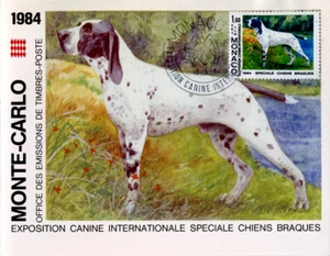 POINTER BRAQUE D'AUVERGNE AUVERGNE MONACO PRESSEKARTE ERSTTAGSBRIEF 1984 FDC - Bild 1 von 3