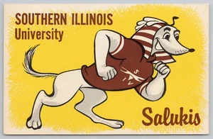 Southern Illinois University Salukis Carbondale Illinois Postcard - Picture 1 of 2