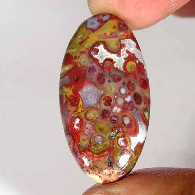 27.60Cts Natural Red Palm Root Agate Oval Cabochon Loose Gemstone 19x37x5mm - Image 1 of 4