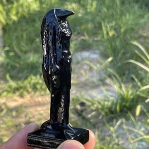 3.8" Natural Obsidian Amit of Egypt quartz crystal Skull Carved Figurines 1pcs - Picture 1 of 7